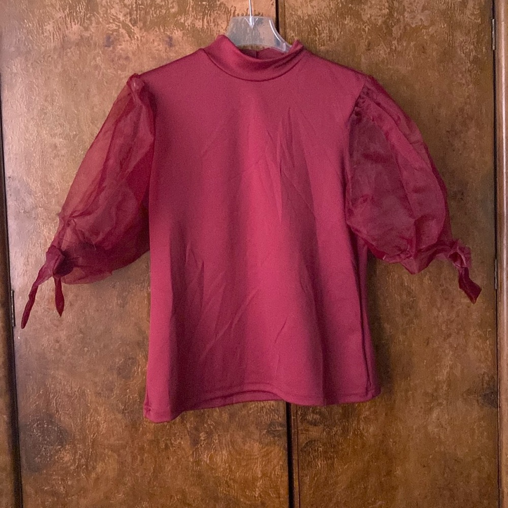 Kaktus Sheer Puff Sleeve Top in Wine